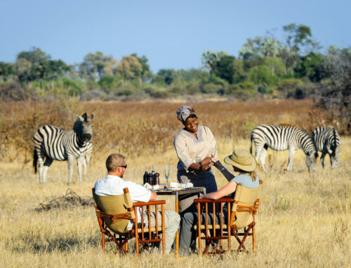 Five great reasons to visit Botswana